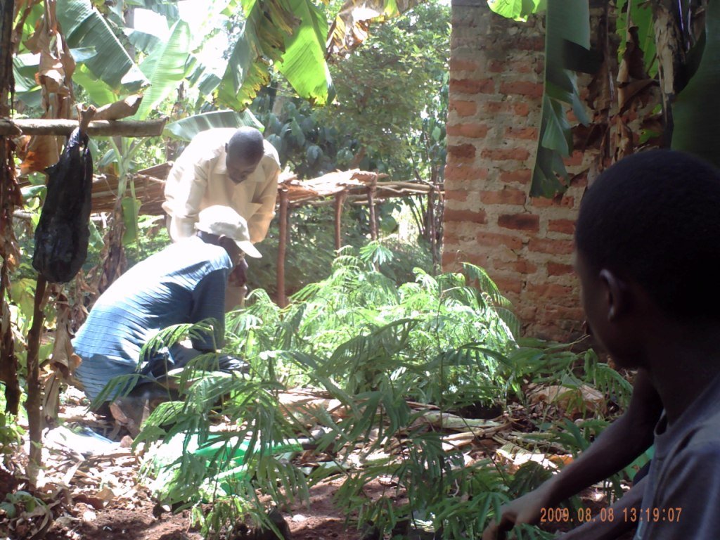 Social Forestry In Uganda Setting A Precedent GlobalGiving Social forestry in uganda setting a precedent globalgiving