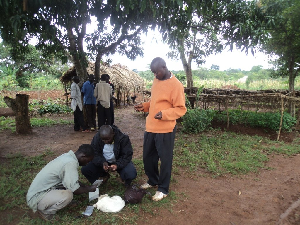 Social Forestry In Uganda Setting A Precedent GlobalGiving Social forestry in uganda setting a precedent globalgiving
