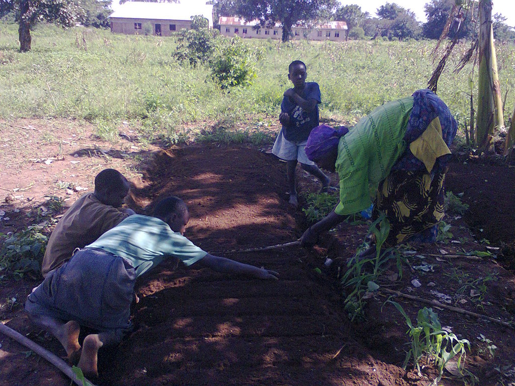Social Forestry In Uganda Setting A Precedent GlobalGiving Social forestry in uganda setting a precedent globalgiving