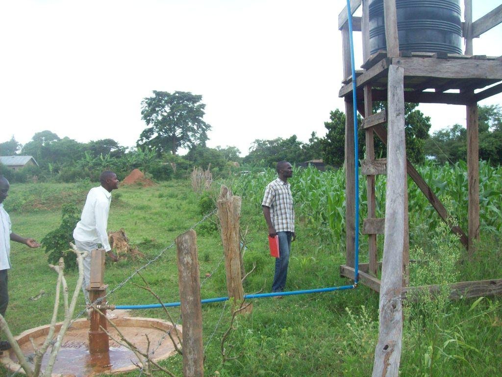 Social Forestry In Uganda Setting A Precedent GlobalGiving Social forestry in uganda setting a precedent globalgiving