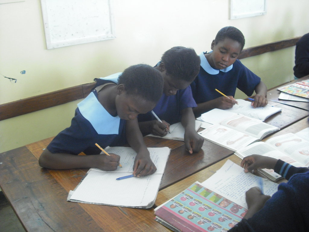 Zambia Support for Schooling of HIV/AIDS Orphans GlobalGiving