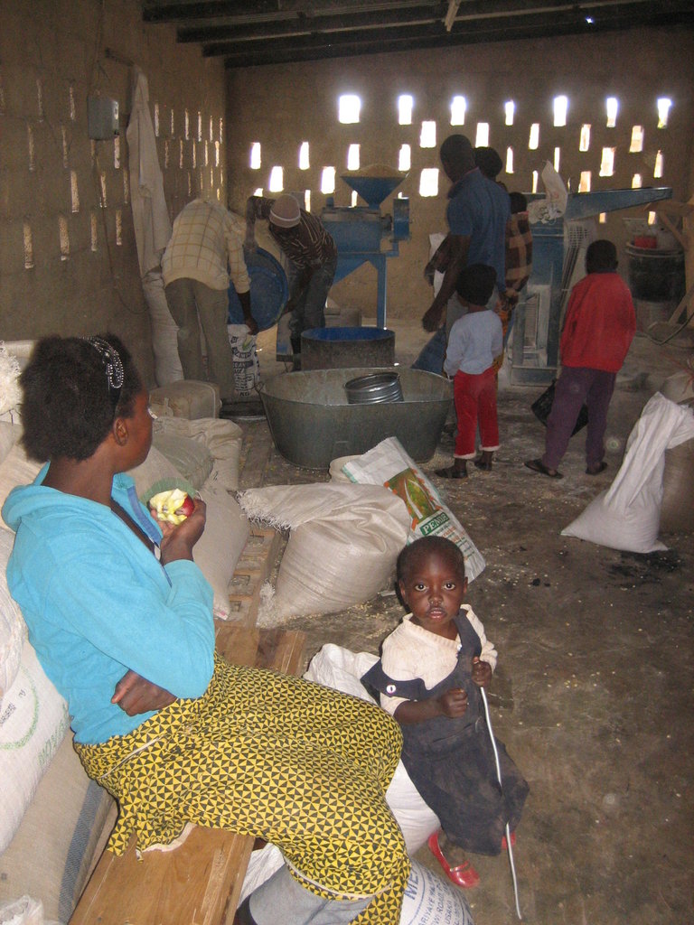 Zambia Support for Schooling of HIV/AIDS Orphans GlobalGiving