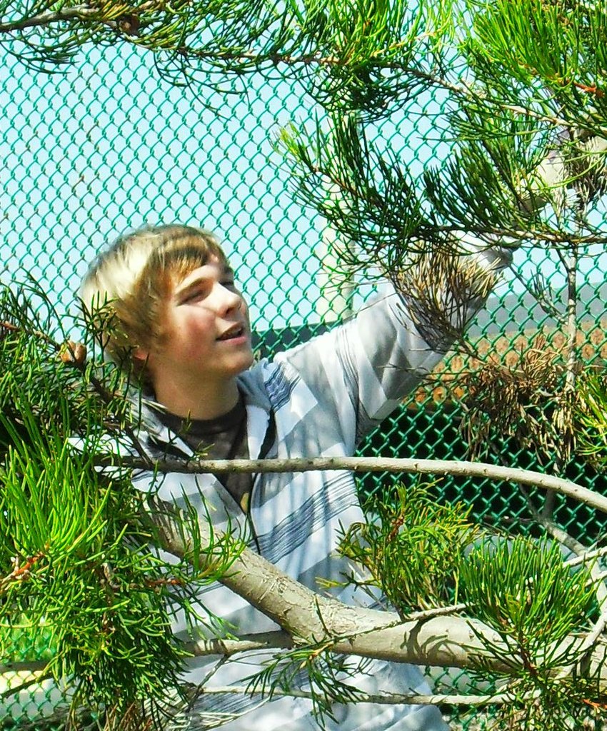 Growing young leaders and trees GlobalGiving