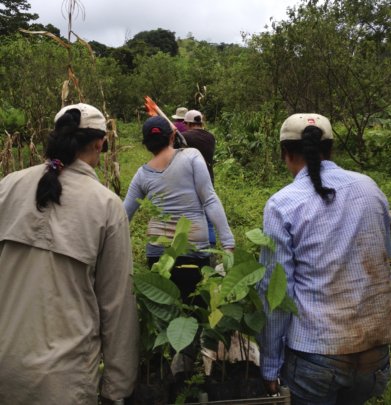 Plant 30,000 native trees Costa Rican owned farms
