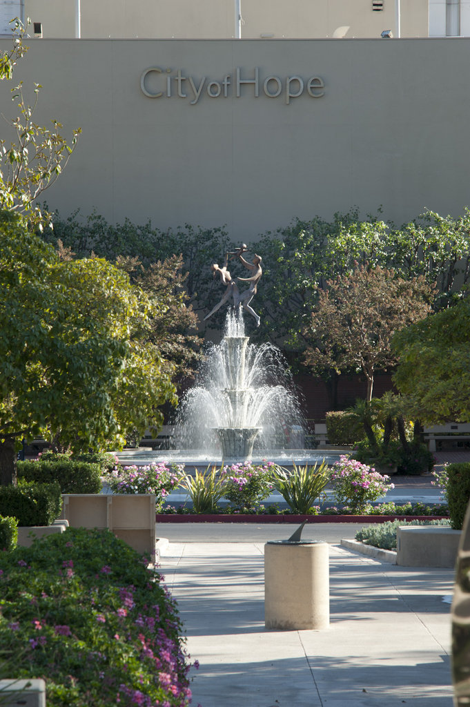 City of Hope GlobalGiving