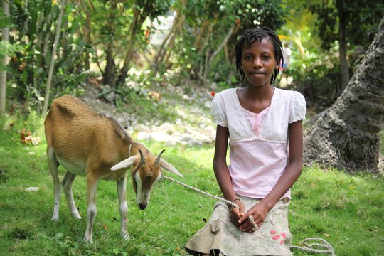 Give A Girl A Goat Keep Her In School GlobalGiving give-a-girl-a-goat-keep-her-in-school-globalgiving