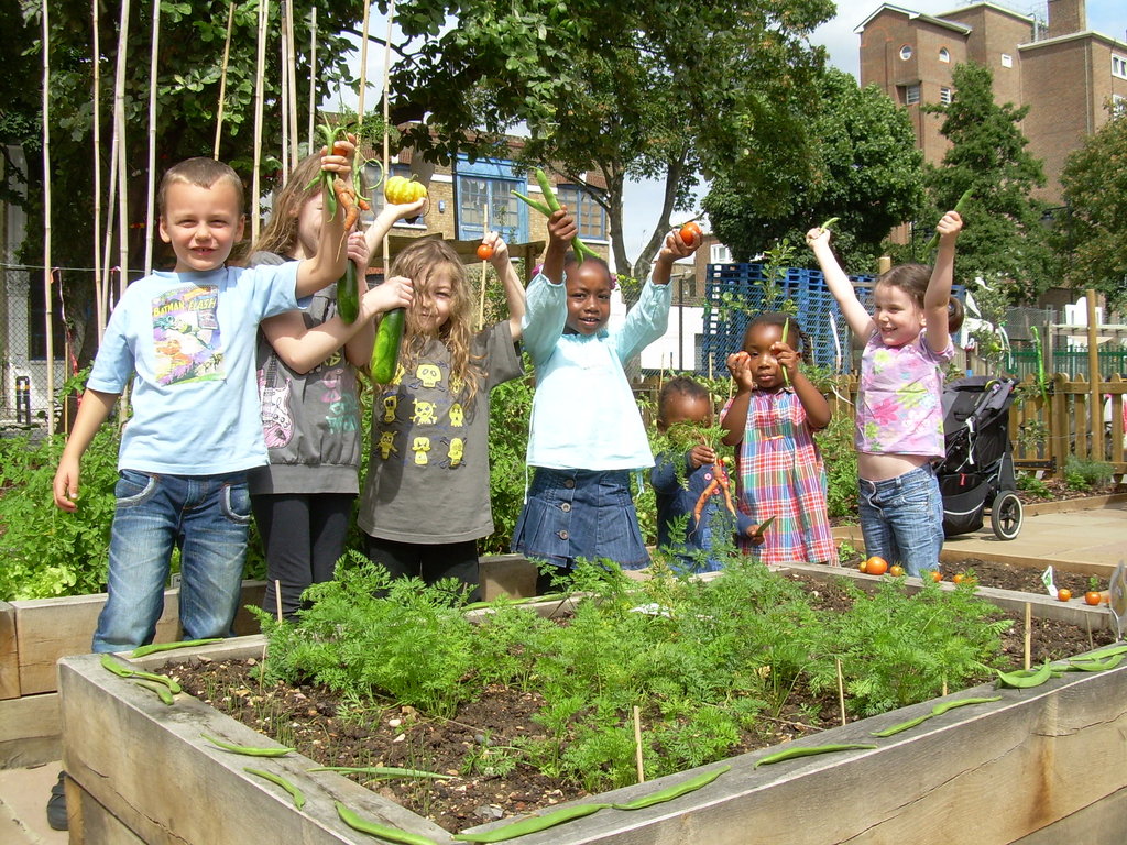 Trees for Cities' Edible Playgrounds GlobalGiving