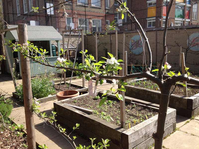 Trees for Cities' Edible Playgrounds GlobalGiving