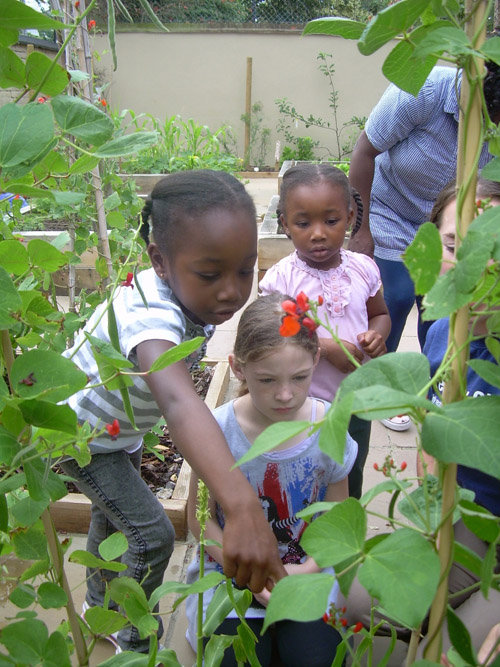Trees for Cities' Edible Playgrounds GlobalGiving