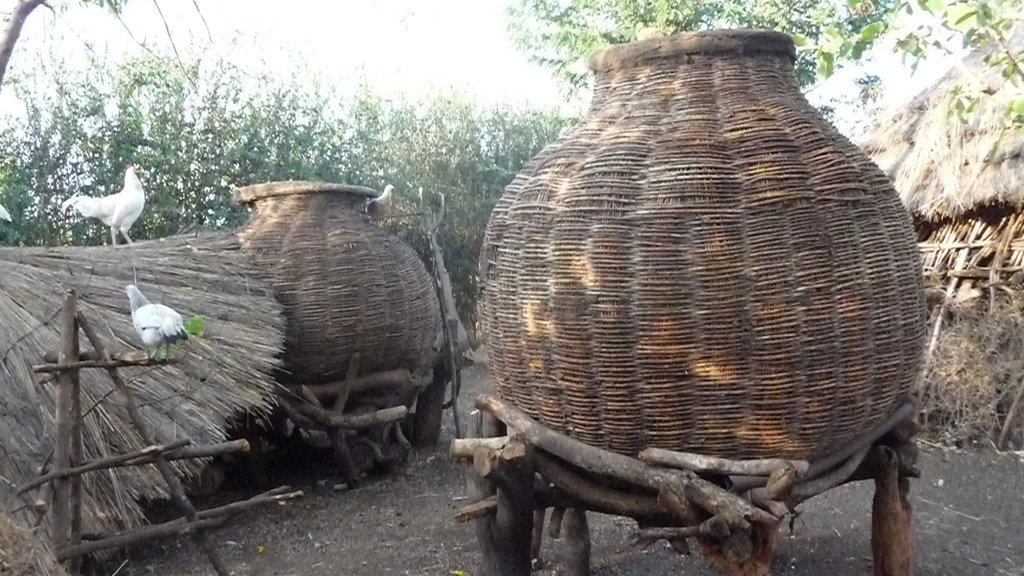 Buy a bag of maize feed a Ugandan family forever GlobalGiving