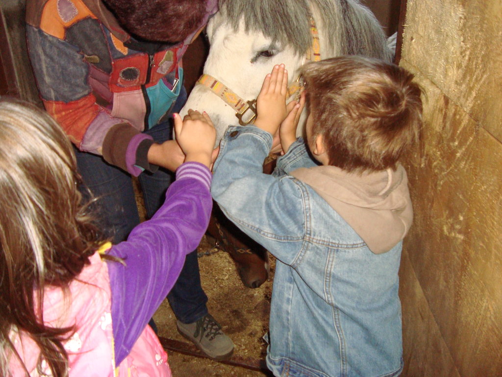 How to Share Help for children victims of violence in Bosnia GlobalGiving