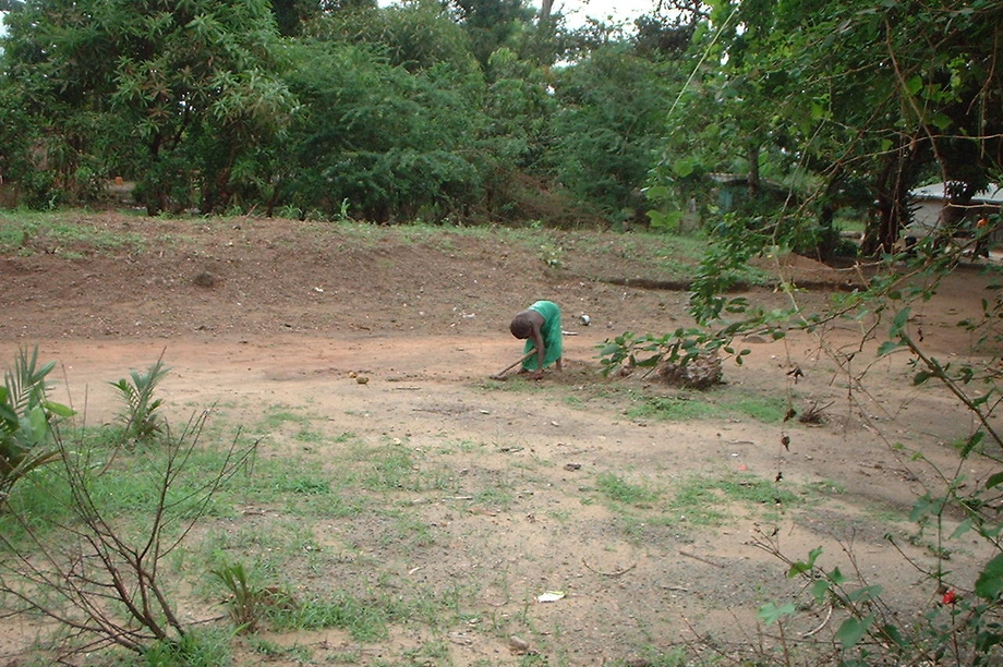 Schools Tree Planting Competition in Sierra Leone - GlobalGiving