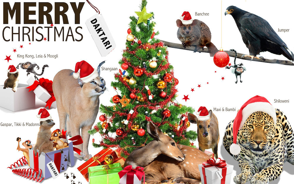 Christmas Gift - Donate for An Animal 