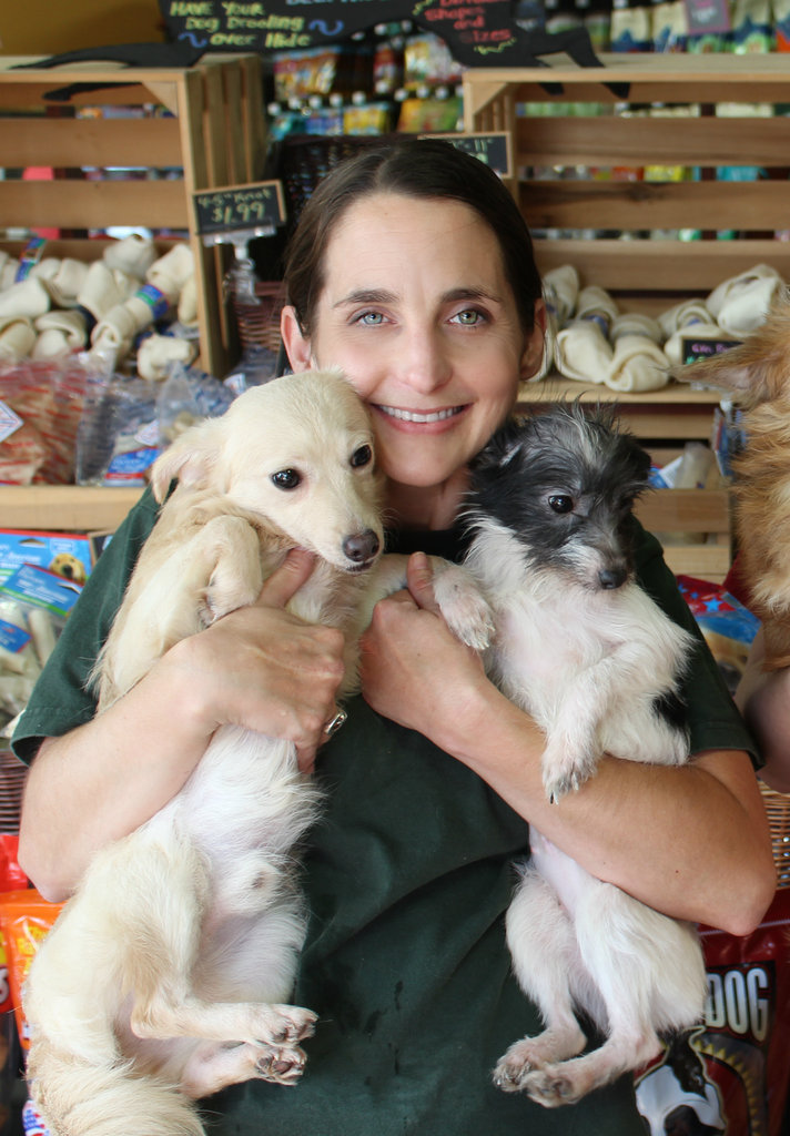 Waggin' Wheels Rescue From High Kill Shelters GlobalGiving