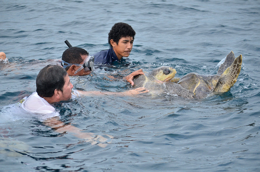 How to Share Blast fishing awareness and quick response program