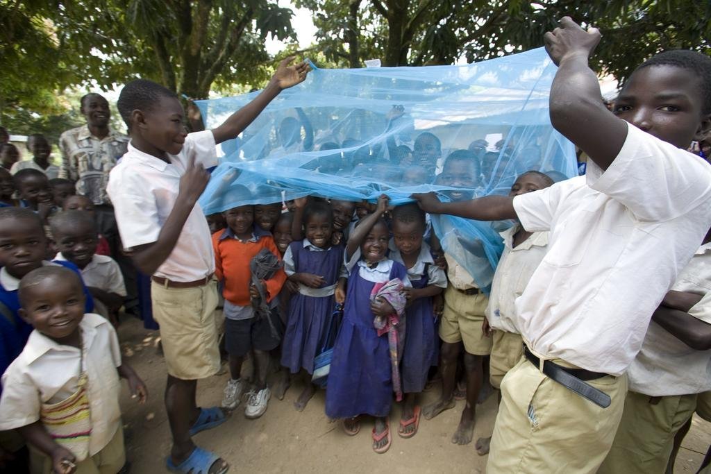 Reports on Bed Nets for Malaria Prevention in Tanzania GlobalGiving