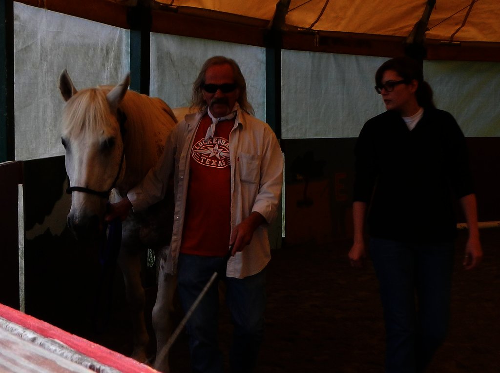 Equine Therapy for 20 Veterans in Hopkinton NH GlobalGiving