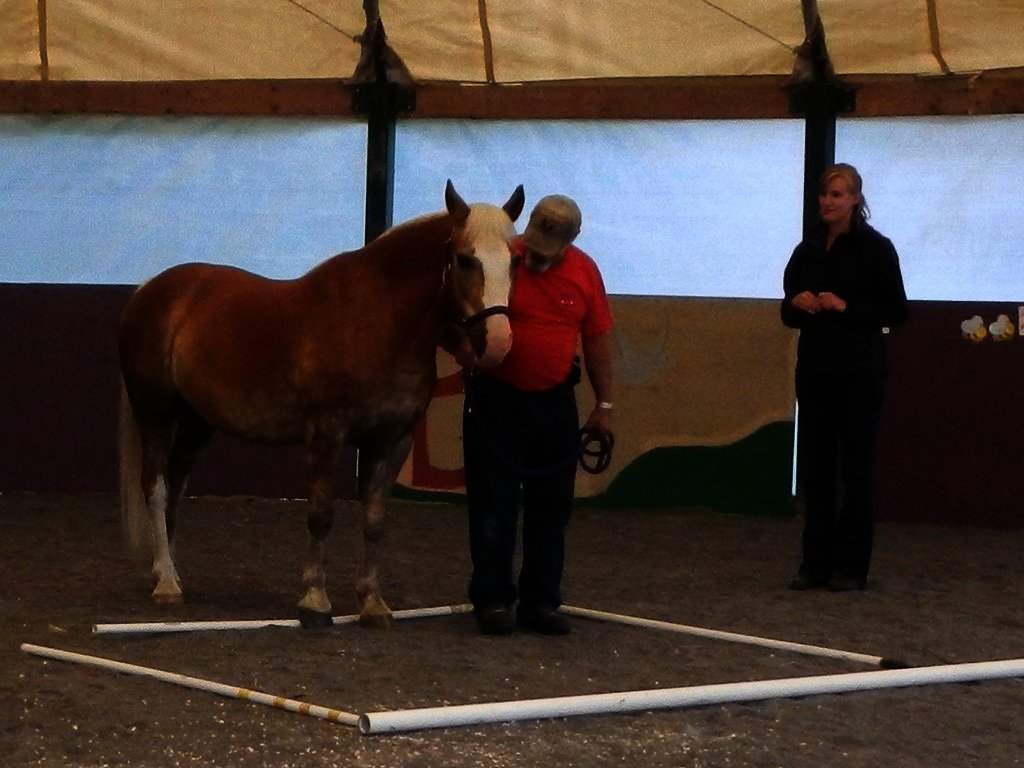 Equine Therapy for 20 Veterans in Hopkinton NH GlobalGiving