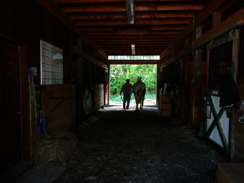 Equine Therapy for 20 Veterans in Hopkinton NH GlobalGiving