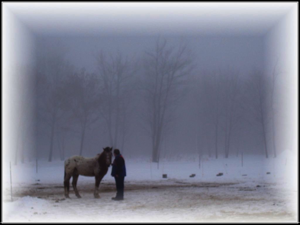 Equine Therapy for 20 Veterans in Hopkinton NH GlobalGiving