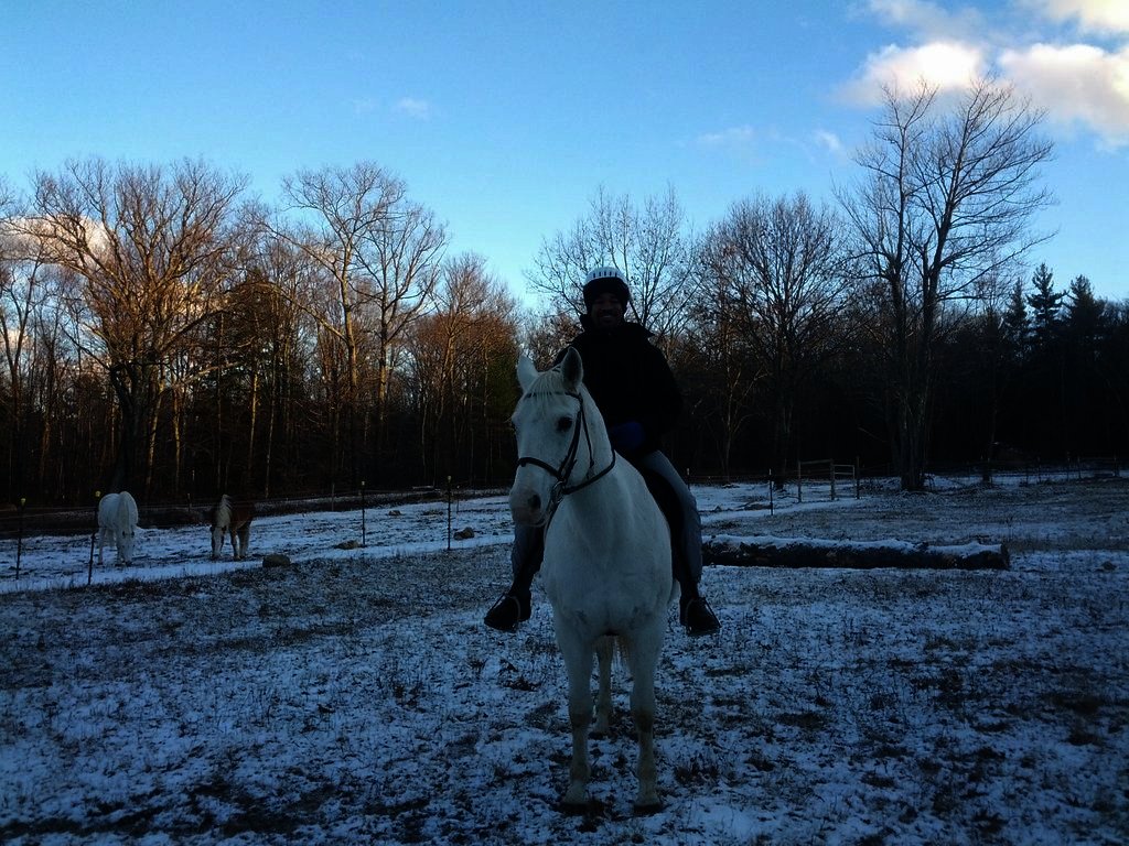 Equine Therapy for 20 Veterans in Hopkinton NH GlobalGiving