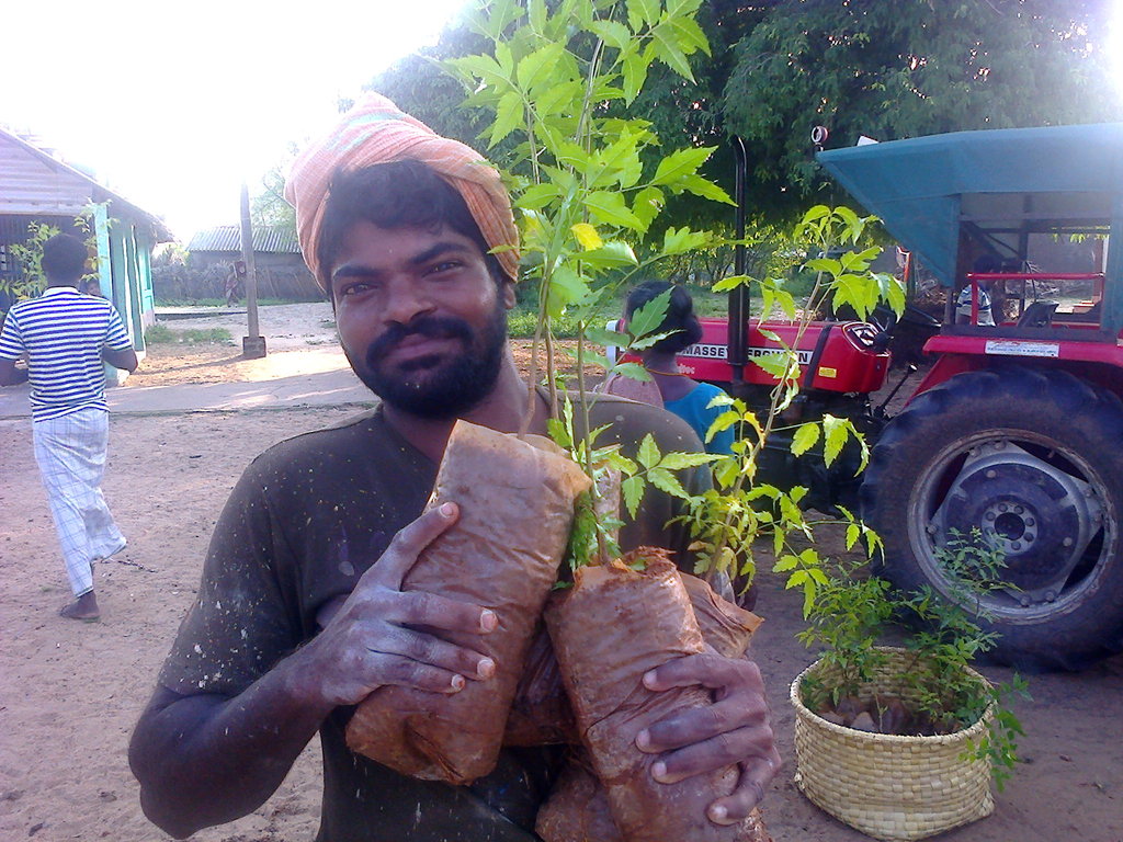 Donate to climate changeTree plantation Ramanathapuram Dist GlobalGiving