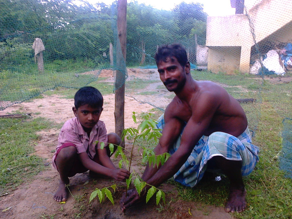 Donate to climate changeTree plantation Ramanathapuram Dist GlobalGiving