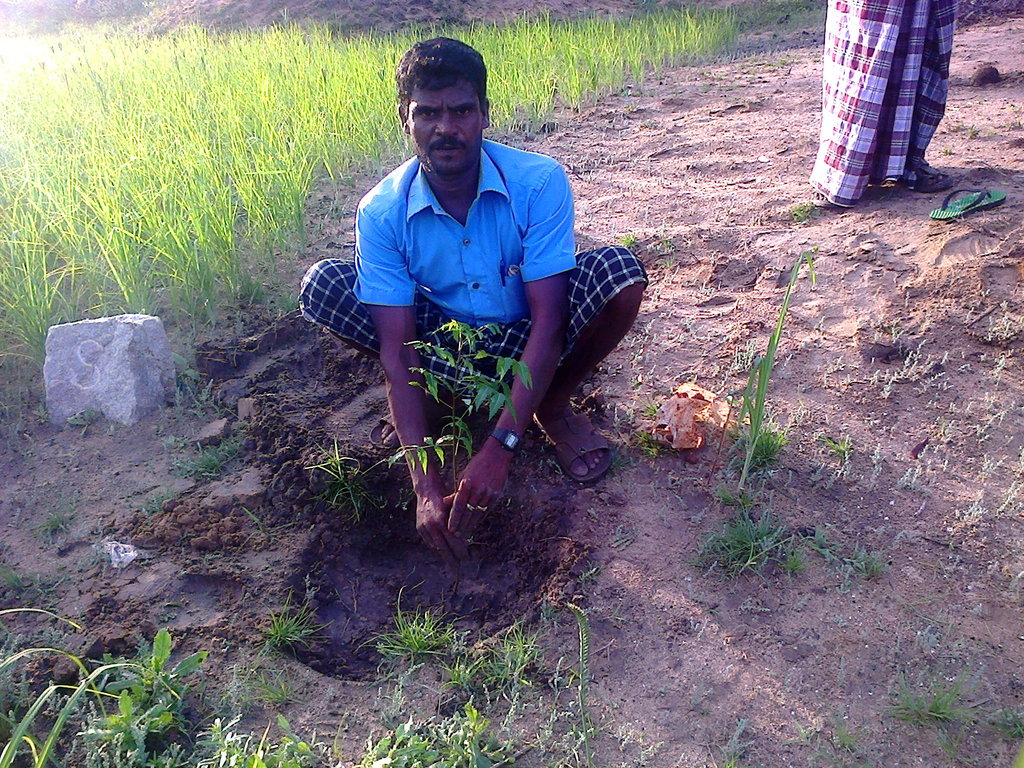 Donate to climate changeTree plantation Ramanathapuram Dist GlobalGiving
