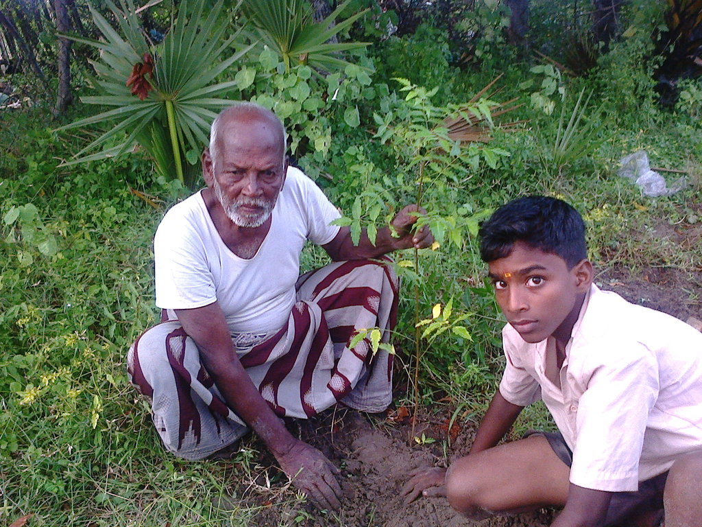 Donate to climate changeTree plantation Ramanathapuram Dist GlobalGiving
