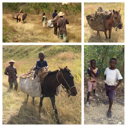 Creating sustainable jobs & clean burning biochar
