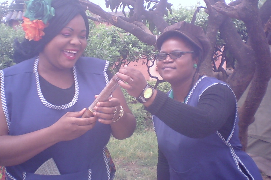 Mobile HIV Testing and Counseling in Lusaka City GlobalGiving