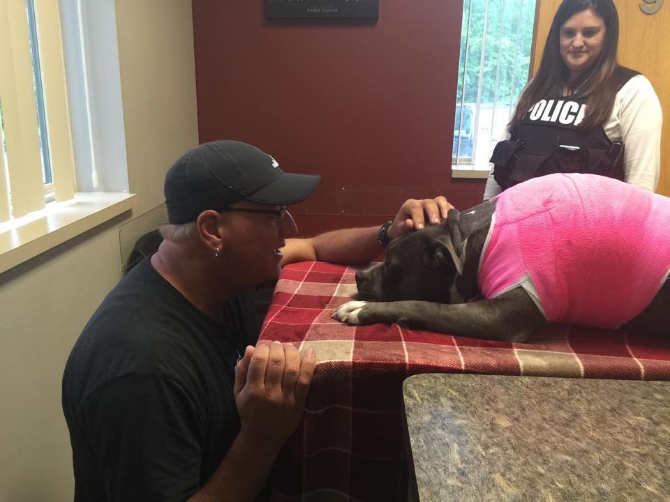 Medical & Recovery Fund for Diseno GlobalGiving