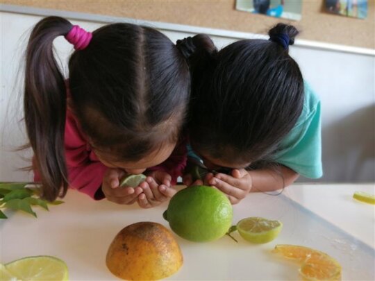 Sponsor 630 Children in Need Through Education