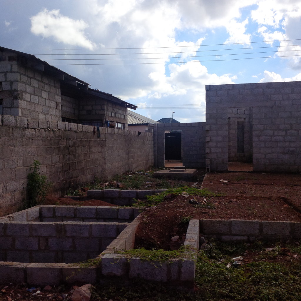 Building a college for natural medicine in Zambia - GlobalGiving