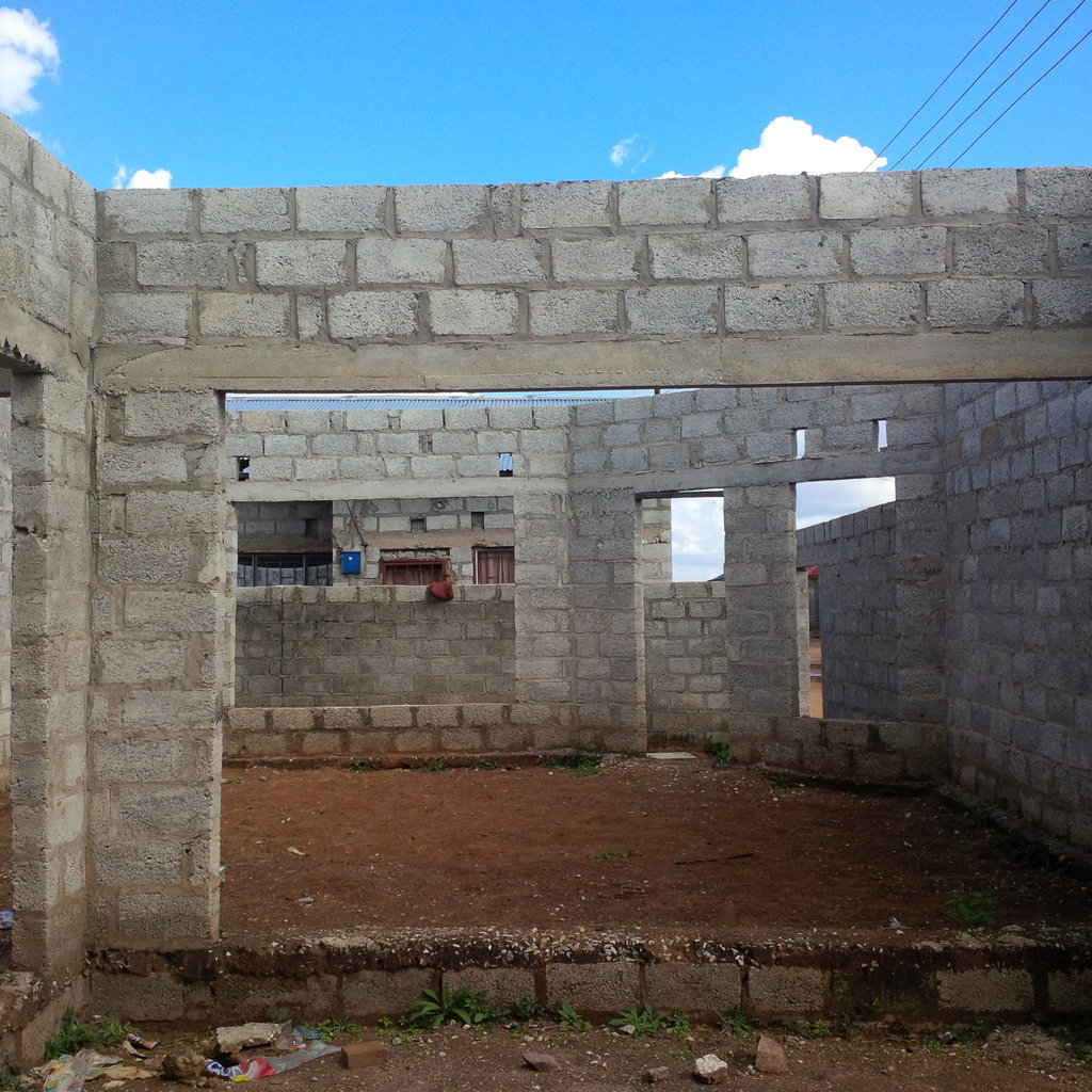 Building a college for natural medicine in Zambia - GlobalGiving