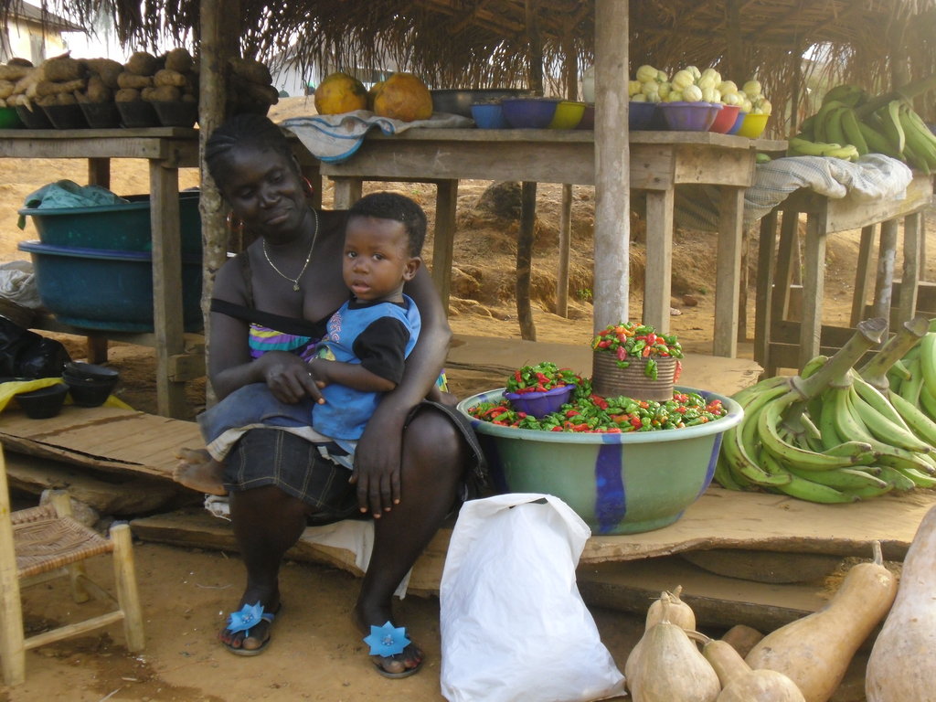 How to Share Restore livelihood in 10 villages in Liberia GlobalGiving