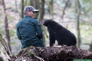 Help rescue & rehabilitate Bear cubs- Support CBRC
