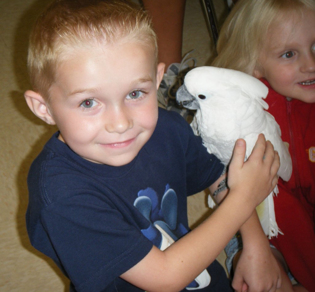 Image showcasing Help Build Outdoor Aviaries for 100 Parrots in NJ - GlobalGiving