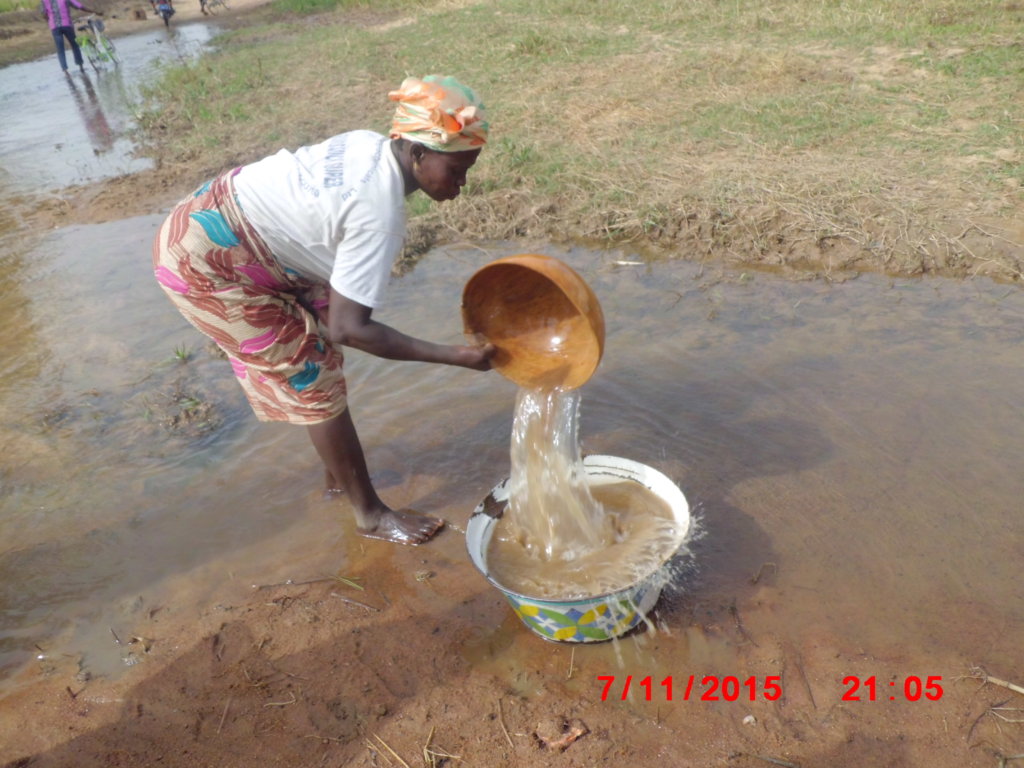 Bring Clean Water to 1000 Ghanaian Villagers GlobalGiving