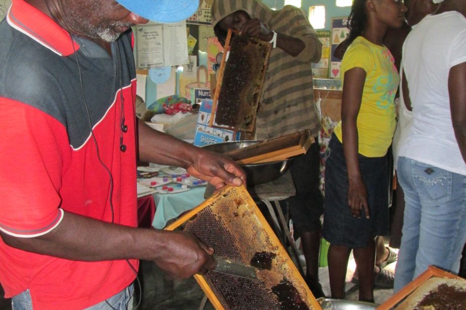 Build a Honey Room for 40 Bee Farmers in Jamaica GlobalGiving