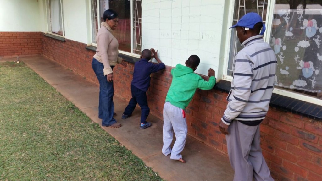 SPECIAL NEEDS EDUCATION IN SOUTH AFRICA PDF visual data 7