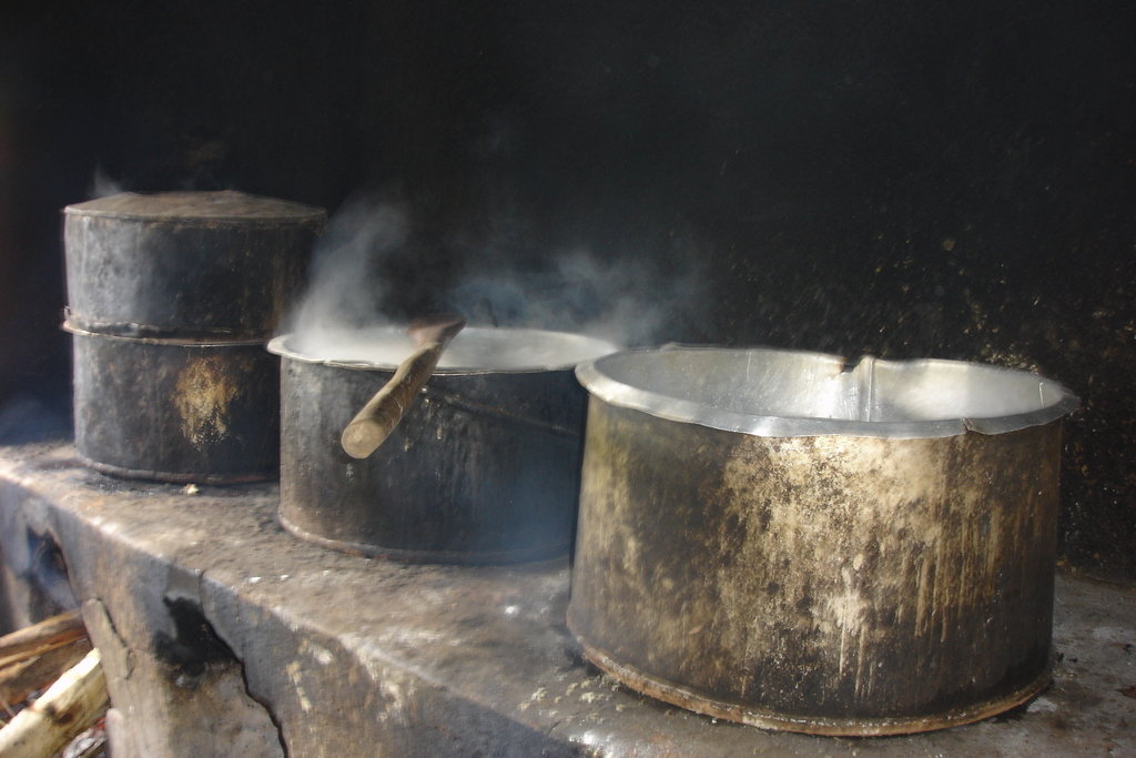 Provide education for 80 Pygmy children in Uganda GlobalGiving