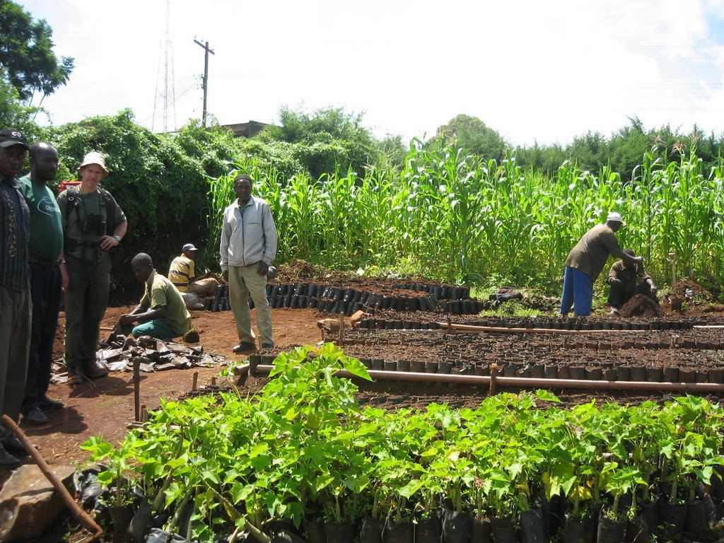 Trees for Water for Life in Cameroon GlobalGiving