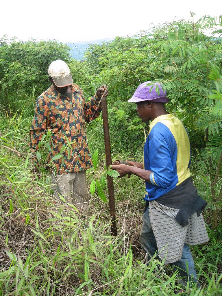 Trees for Water for Life in Cameroon GlobalGiving
