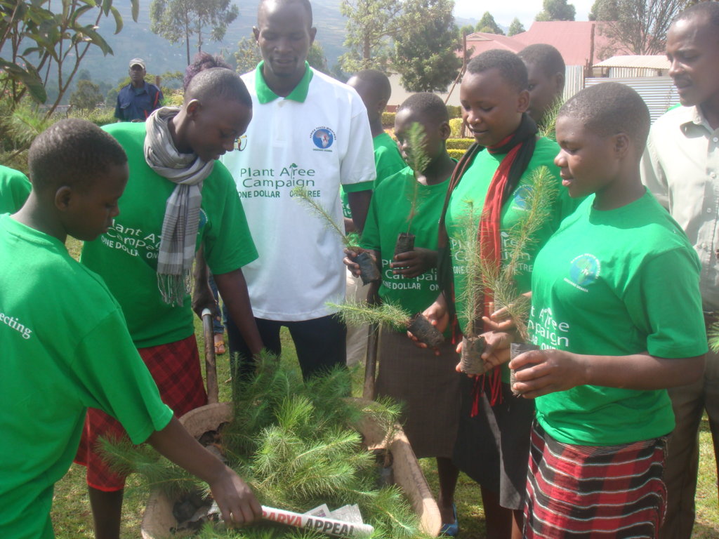Green schools project globalgiving