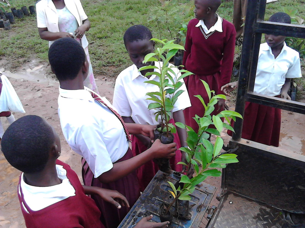 Green schools project globalgiving