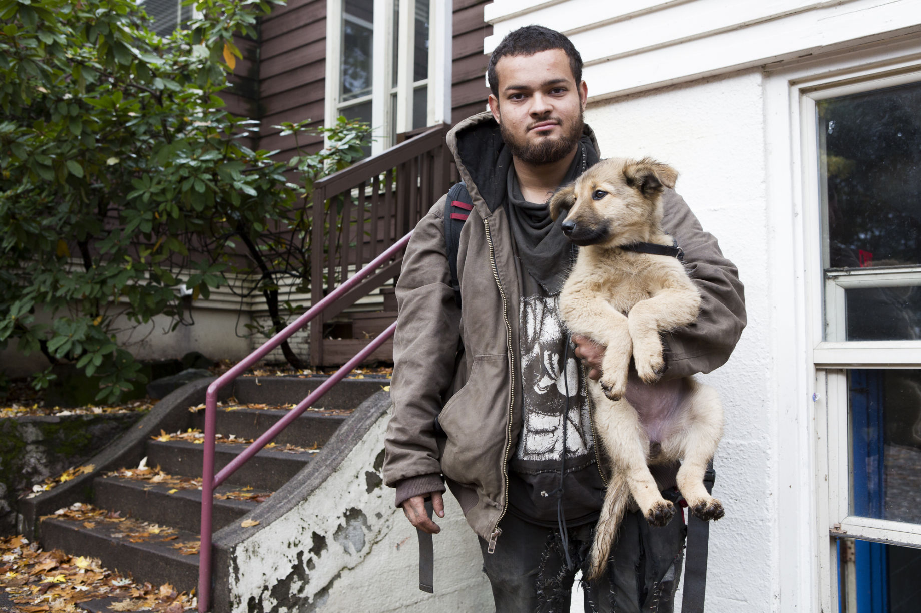 Veterinary Care for the Pets of the Homeless GlobalGiving