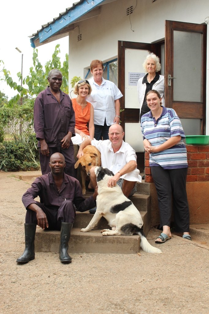 Survival of Animal Welfare Charity in Zimbabwe GlobalGiving