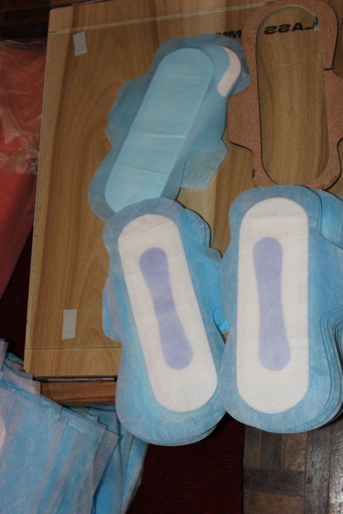 Provide Sanitary Pad Incinerator to Nepali Schools GlobalGiving