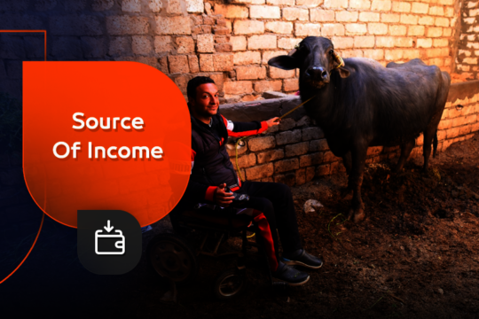 Source of Income for Wheelchair Users - Egypt